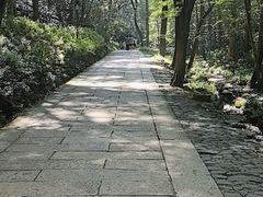 -宋宴(虎跑店)
