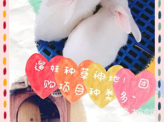 打卡神地！必选云上田园！至尊体验，超多团购！
