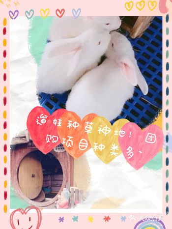 打卡神地！必选云上田园！至尊体验，超多团购！