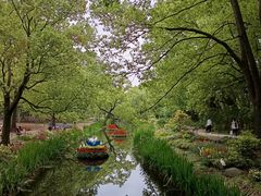 -上海共青森林公园