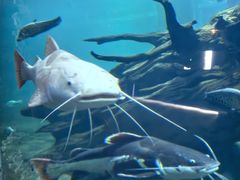 -华夏文旅海洋公园