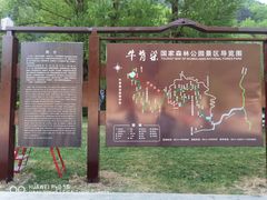 -牛背梁国家森林公园