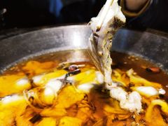 -雲蜀龙阁·金牌水煮鱼(方庄店)