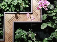 -Peet's Coffee皮爷咖啡(豫园店)