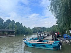 -上海长兴岛郊野公园