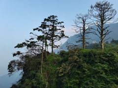 -峨眉山风景名胜区