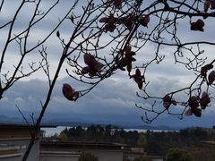 -中海·庐山西海君澜度假酒店·味屿全日制餐厅