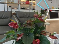 -车友必成·3M汽车贴膜/隐形车衣/改色膜(成都店)