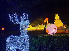 -杭州野生动物世界