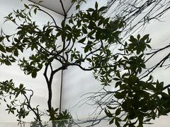 -新发现(苏州中心商场店)