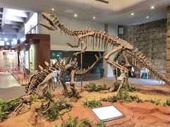 -自贡恐龙博物馆