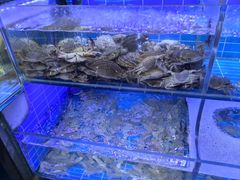 -金海湾海鲜排档(朱家尖店)
