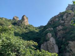 -大岭沟猕猴桃谷风景区