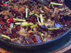 -老板恋上鱼(恒隆广场店)