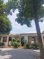 -DORA kids 朵拉儿童摄影花园店