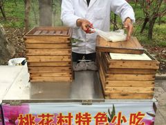 -南汇桃花村