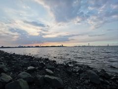 -上海滨江森林公园