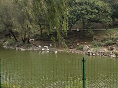 -北京张裕爱斐堡酒庄