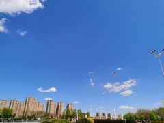 -丁香湖公园