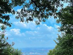 -惠山国家森林公园