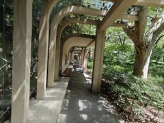 -徐家汇源景区-衡山公园