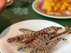 越南斑节虾-熙瓏里(万科店)