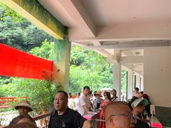 -中国大熊猫保护研究中心雅安碧峰峡基地