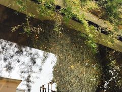 -RGF(巨鹿路店)