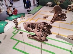 -国家自然博物馆