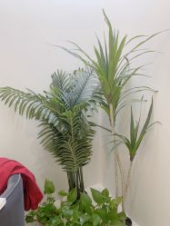 -VE小颜皮肤管理&科学美肤中心