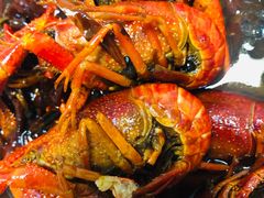 -九喜龙虾(凤城六路直营店)