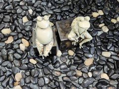 -季季红火锅(长沙步行街店)