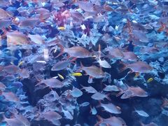 -成都浩海立方海洋公园