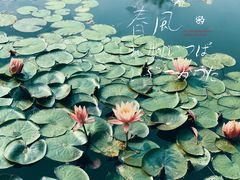 -大宁公园