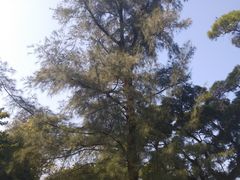 -北海市海滨公园