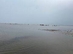 -东戴河风景区-止锚湾