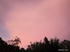 -华莱士 炸鸡汉堡(卜蜂店)