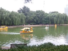 -团结湖公园