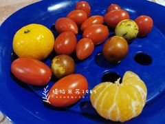 果盘-大鸭梨烤鸭店(花园村店)