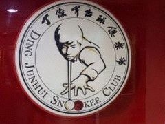 -丁俊晖台球俱乐部(海上海·弘基休闲广场店)
