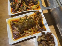 -黑猫馋纸包鱼(阳光店)