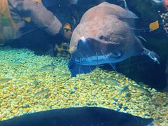 -成都浩海立方海洋公园