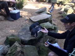 -费瑟代尔野生动物园