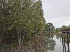 -伊犁河风景区
