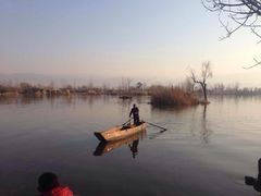 iphone_upload_pic-西昌邛海湿地