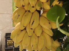 -初色海鲜自助(万丰路店)