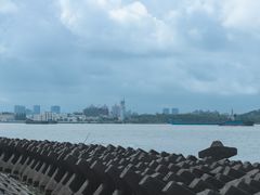 -上海滨江森林公园