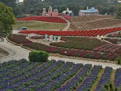 -松山湖梦幻百花洲