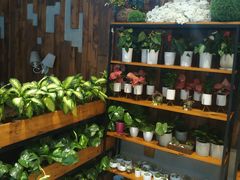 自助取餐区-彼芝奇比萨(红坊店)