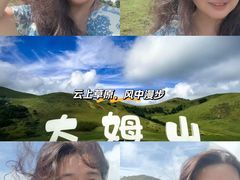 -大姆山草场